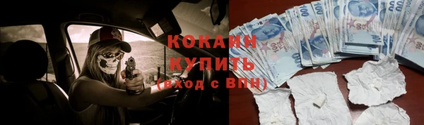 метадон Няндома