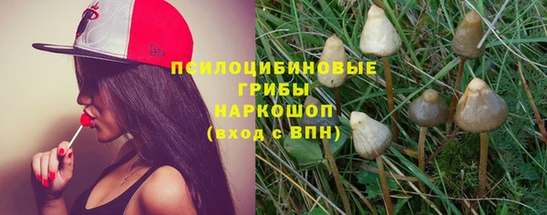не бодяженный Алзамай
