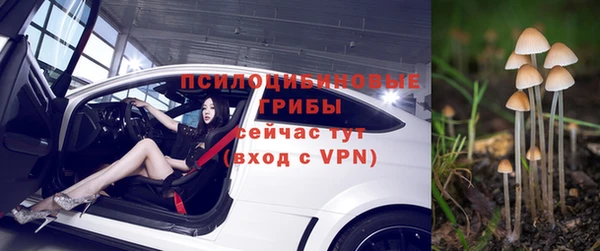 не бодяженный Алзамай