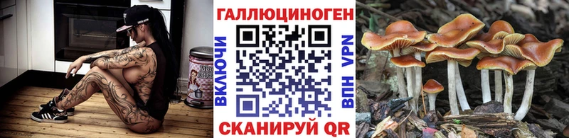 Галлюциногенные грибы Psilocybine cubensis  mega как войти  маркетплейс наркотические препараты  Тихвин 